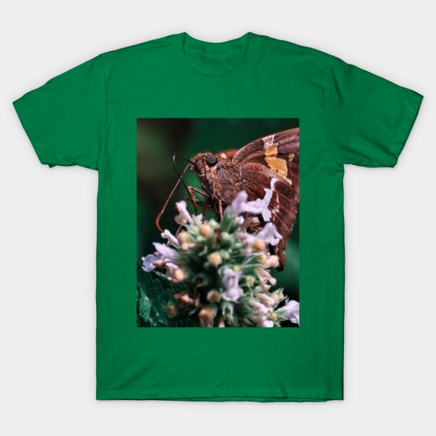 Silver-Spotted Skipper Butterfly. Macro Photograph T-Shirt by love-fi